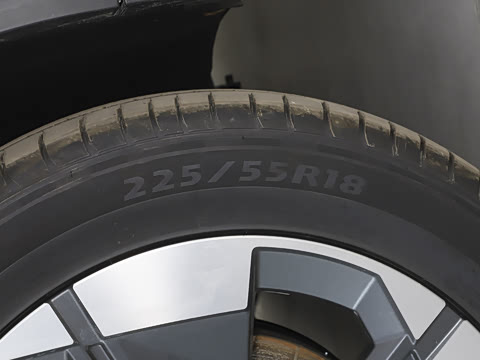 2025�� �������캽��