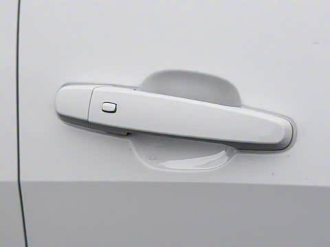 2019�� Redline 550T �Զ����ǰ�