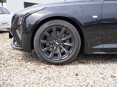 2025�� 28T �������ܰ�