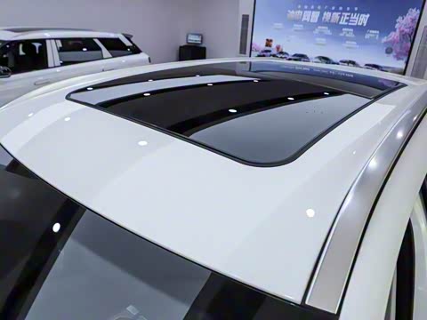 2025�� 1.5T 106KM������ 7�� �������