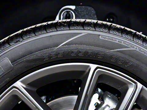 2025�� 165km ������������ 5��