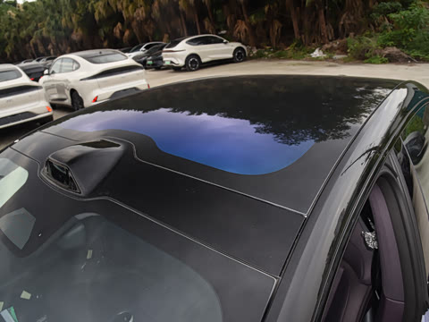 2025�� Max�����