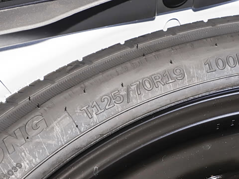 2024�� RS 5 2.9T Sportback ȼ���