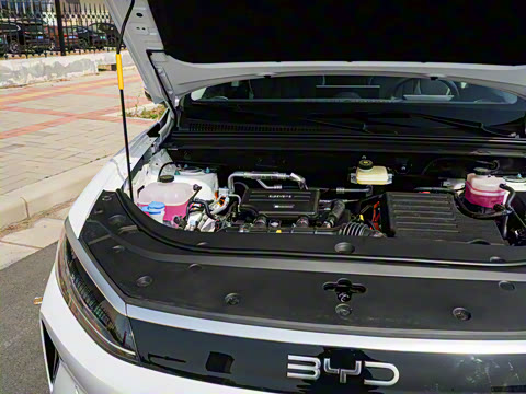 2025�� DM-i �Ǽݰ� 75KM������