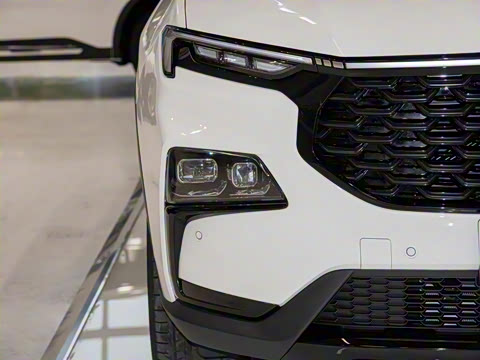 2022�� ���� EcoBoost 170 ��Ӱ