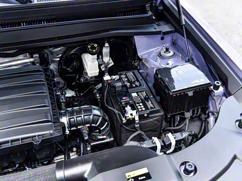 2025�� 2.0T DCT ����Ů��