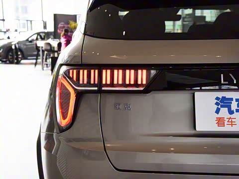 2019�� 2.0T ������Pro�� ��VI