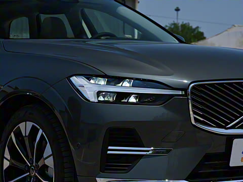 2026�� ���ʽ�춯 �������������ź�����