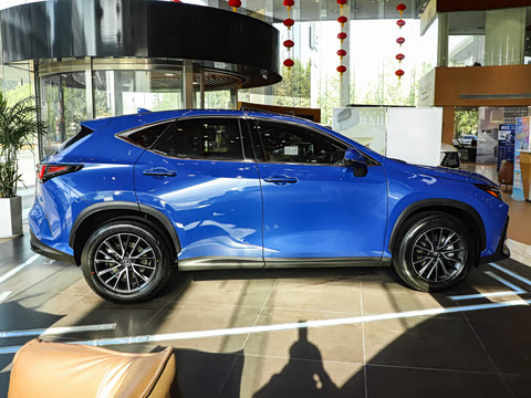 2025�� 260 ǰ�� �ر��