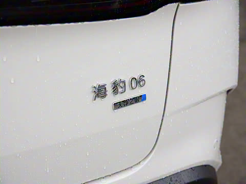 2025�� DM-i 80KM�����