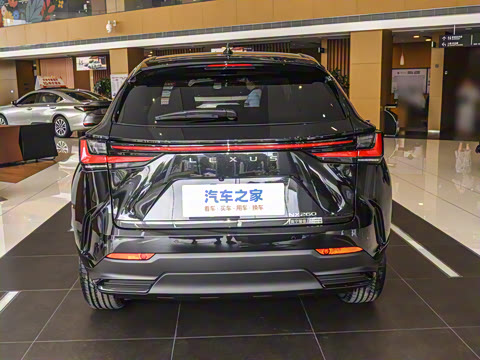 2025�� 260 ǰ�� �ر��