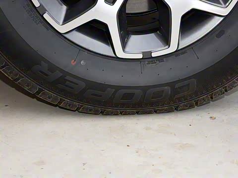 2019�� PLUS 2.3T �Զ������콢�� ��VI