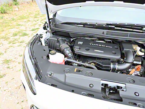 2025�� ½�� ������ 7��