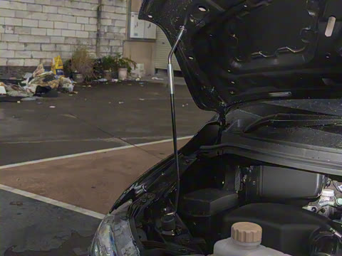 2025�� 110km���� ������5��