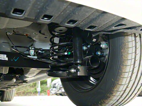 2025�� 333km ������