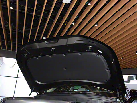 2023�� 3.5L �Զ�����Calligraphy