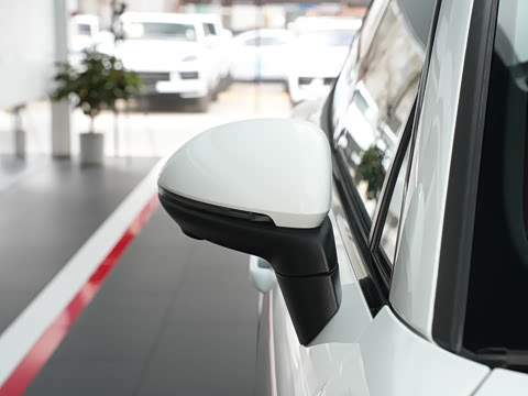 2024�� Macan ��������