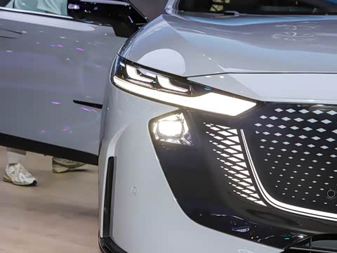 2025�� ����600�����˶���