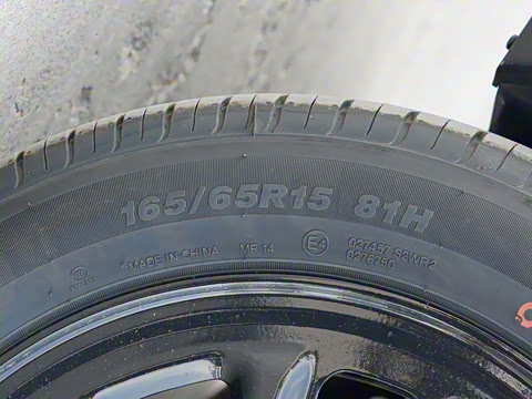 2025�� 310������