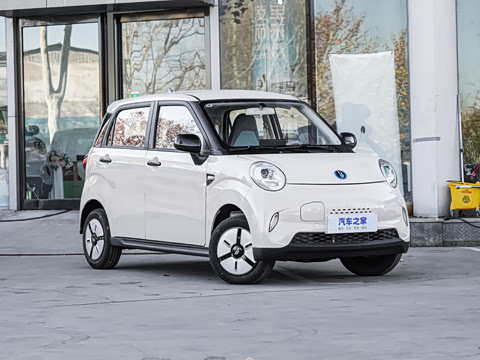 2025�� 205km ��Ȱ�