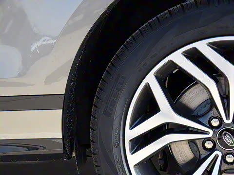 2021�� ����L P300e ������