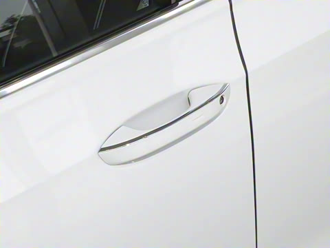 2025�� �Ŀ� 300TSI Pro