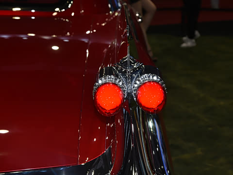 2025�� ������