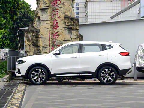 2025�� 1.5T �����ھ���