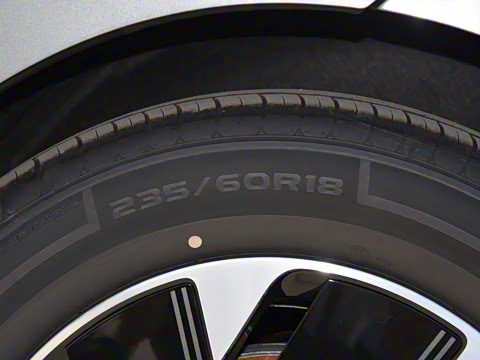 2024�� ������ Max