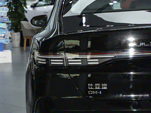 2024�� DM-i 55KM �캽��ҫ��