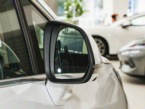 2025�� DM-i �Ǽݰ� 1100 ������