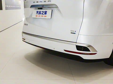 2025�� DM-i �Ǽݰ� 1100 ������