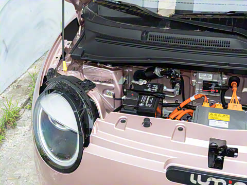 2025�� 205km ���߿�