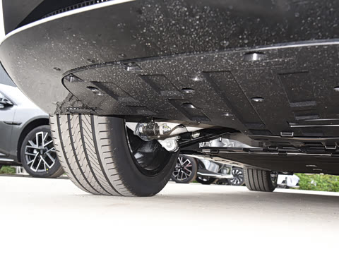 2025�� Max�����