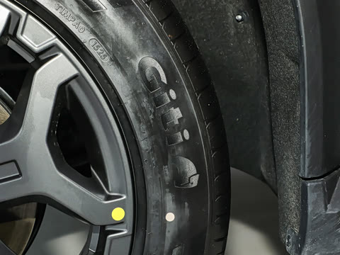 2025�� 120km ���ּӳ��� 7��