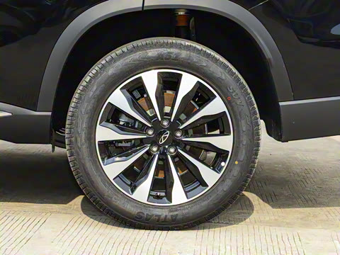 2025�� 290TGDI DCT�˷�� 7��