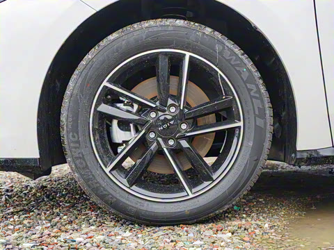 2025�� 650 ������