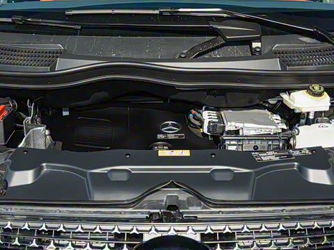 2025�� V 300 L ������˹ �˶���