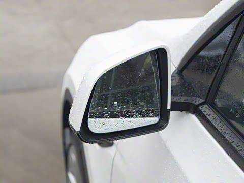 2025�� ������ȫ��������