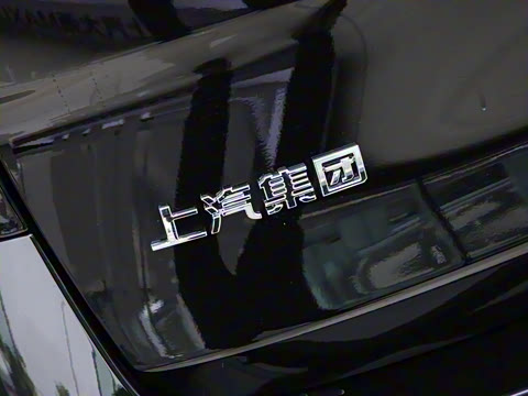 2025�� MAX 2.0T �Զ������� ���� 7��