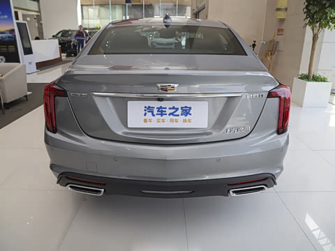 2025�� 28T �����˶���