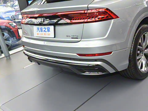 2023�� 55 TFSI ����������