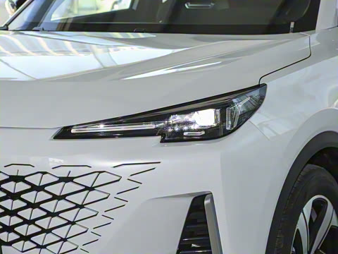 2024�� ������ 1.5T DCT׿Խ��