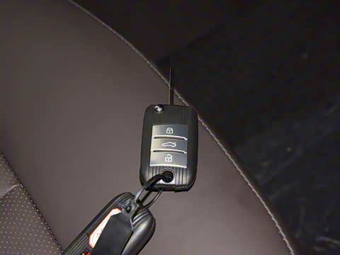 2019�� 30T ������������Ⱥ�콢��