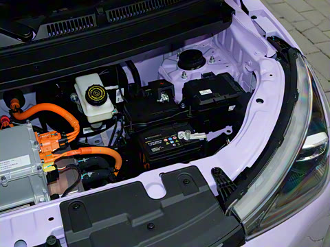 2026�� Mate 305km ����̤�˰�