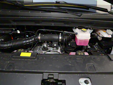 2025�� PLUS 2.0L ��Ӣ��