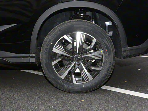 2025�� DM-i �Ǽݰ� 75KM������