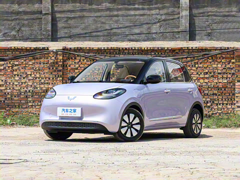 2025�� 333km ������