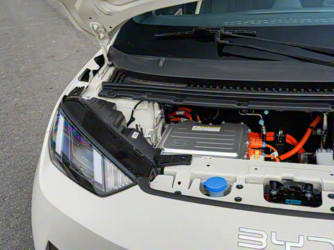 2025�� �Ǽݰ� 305km ���ɰ�