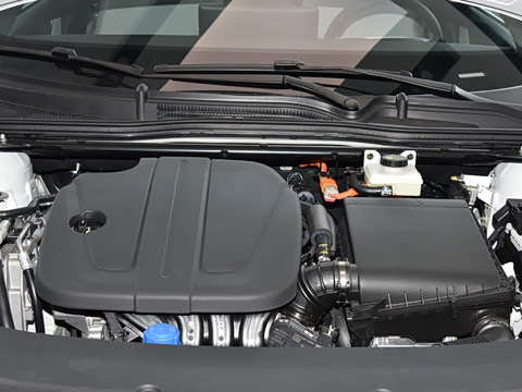 2025�� �������̰� 230�����